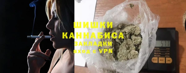 ешки Дмитриев