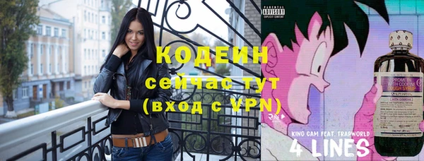 ешки Дмитриев
