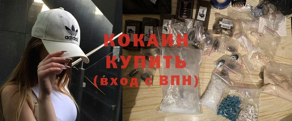 ешки Дмитриев