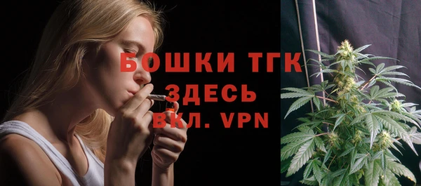 кристаллы Гусь-Хрустальный