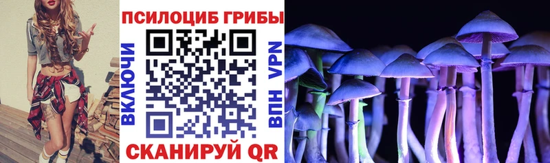 Галлюциногенные грибы Magic Shrooms Камышлов